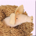 KKFP �q�u�^