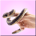 wriwl`j