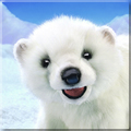 VN}̐Ԃ@pybg