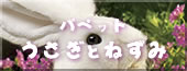 ˂݂̃pybg