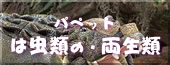 ͒ށAށÃpybg